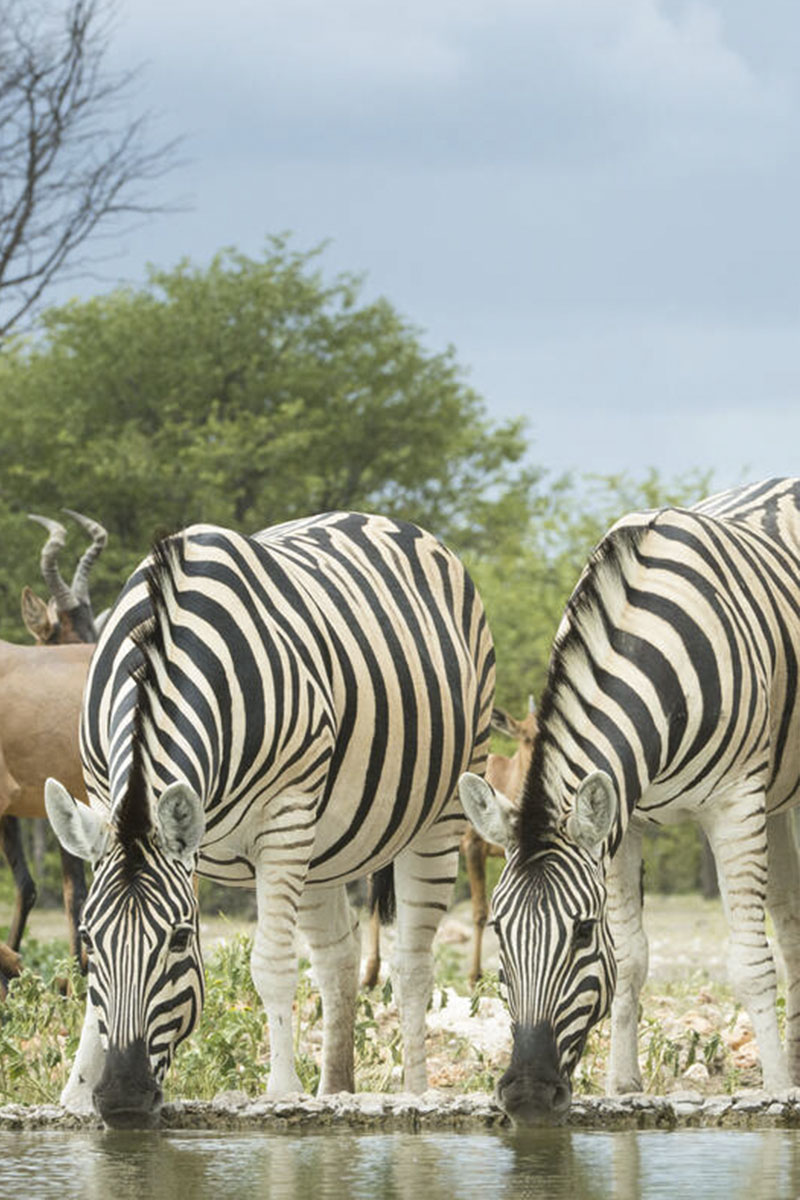 Family bonding at City Lodge Boutique Hotel