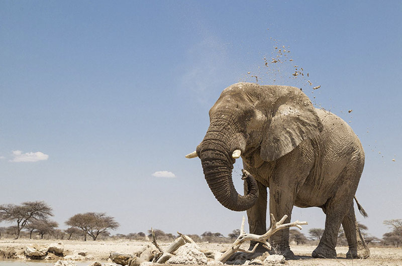 Hiking and nature walks